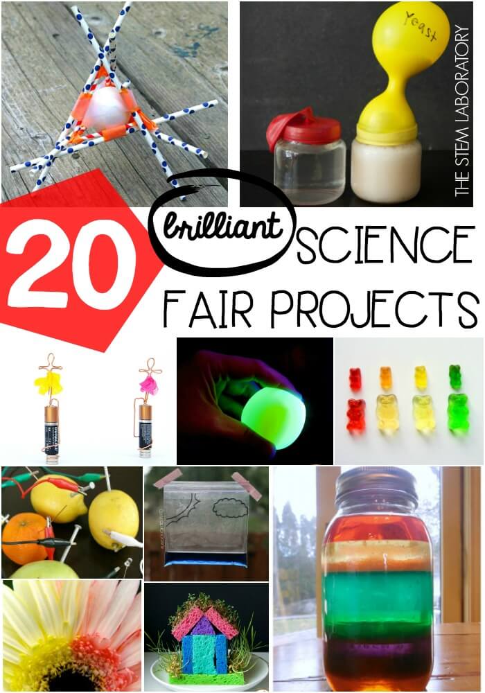 20 Science Fair Projects